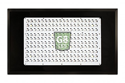 G8LED 900 review