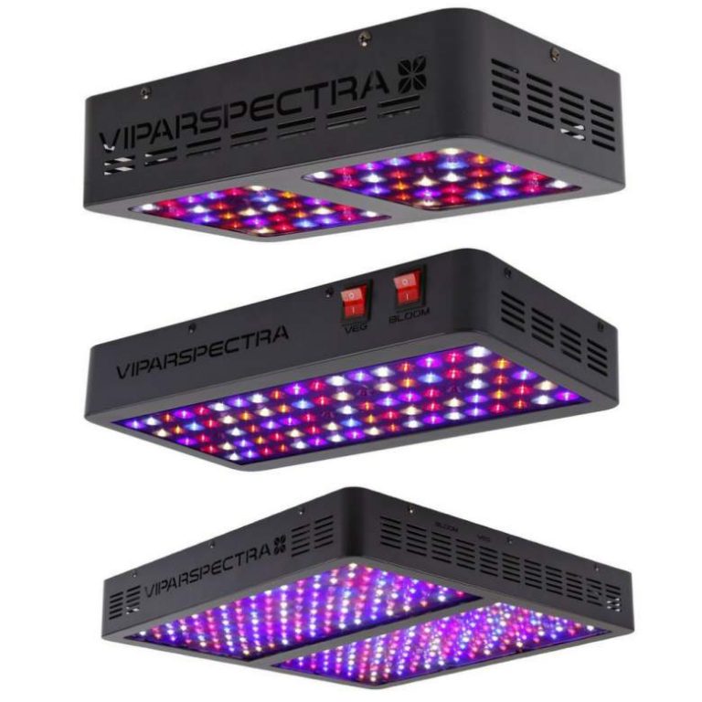 Top 10 Best LED Grow Lights Reviews 2021 Top Rated for the Money