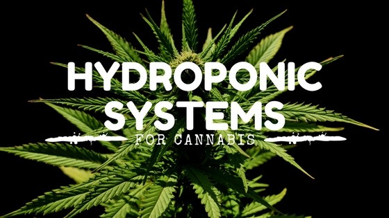 best hydroponic system