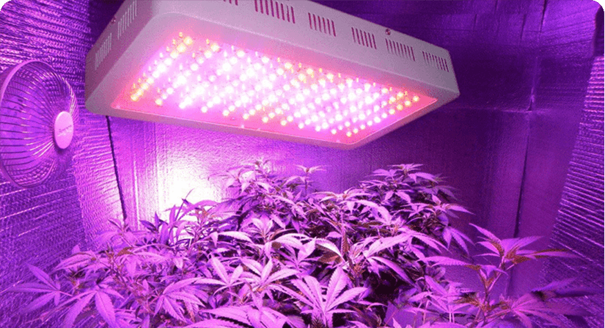 commercial led grow lights