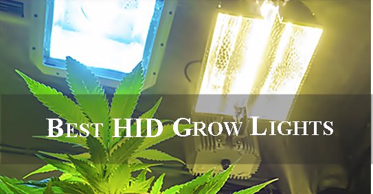 best hid grow lights